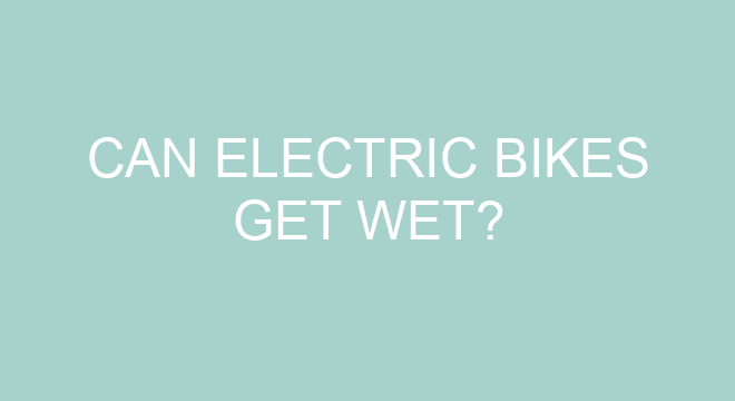 can electric bikes get wet
