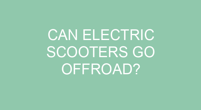 Can Electric Scooters Go Offroad can-electric-scooters-go-offroad