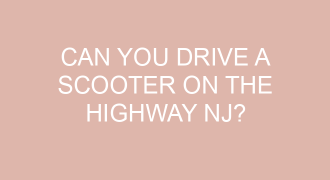 do you need a license to drive a scooter in new brunswick