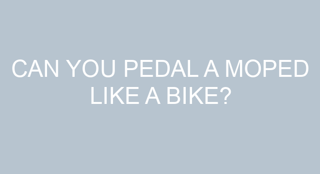 moped pedal bike