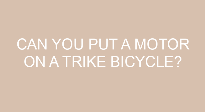 best bicycle to put a motor on