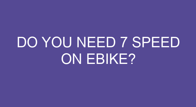 do i need an ebike