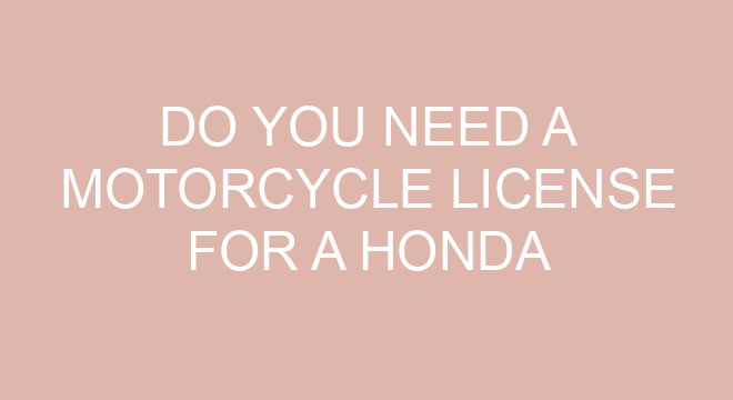 do you need a motorcycle license for a honda ruckus