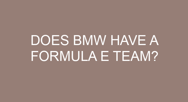 Does BMW Have A Formula E Team does-bmw-have-a-formula-e-team