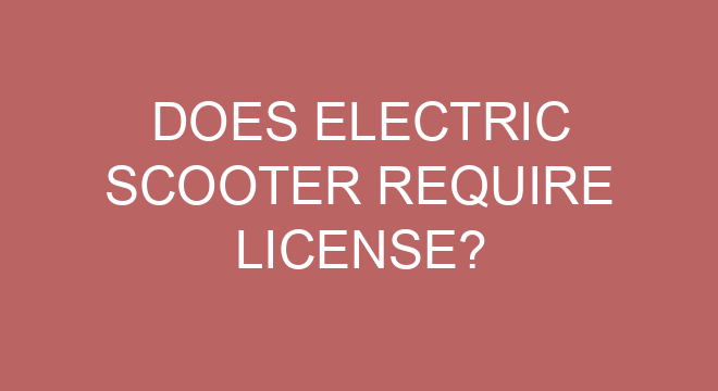 Does Electric Scooter Require License a-simple-roadmap-to-your-peso-explosive-license-northern-ridge