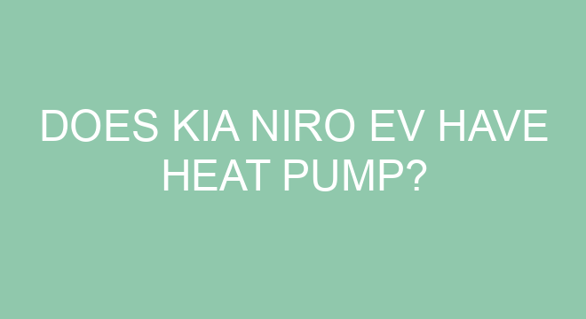 Does Kia Niro EV Have Heat Pump does-kia-niro-ev-have-heat-pump