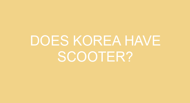 Does Korea Have Scooter does-korea-have-scooter