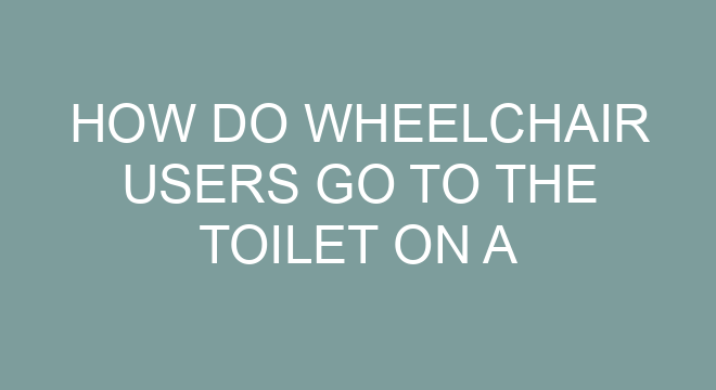 How Do Wheelchair Users Go To The Toilet On A Plane how-do-wheelchair-users-go-to-the-toilet-on-a-plane