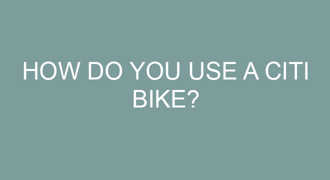 citi bike 30 minutes