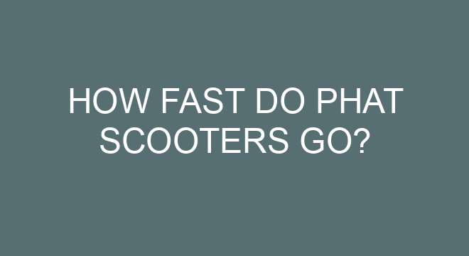 How Fast Do Phat Scooters Go how-fast-do-phat-scooters-go
