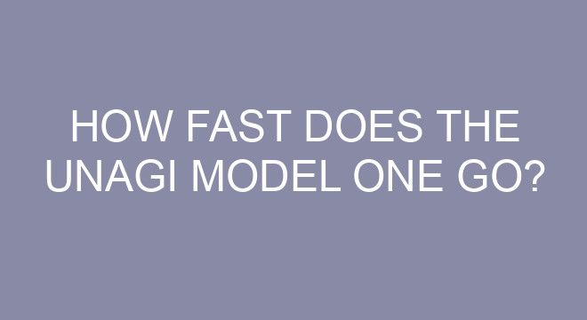 how-fast-does-the-unagi-model-one-go