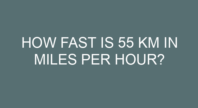 How Fast Is 55 Km In Miles Per Hour how-fast-is-55-km-in-miles-per-hour