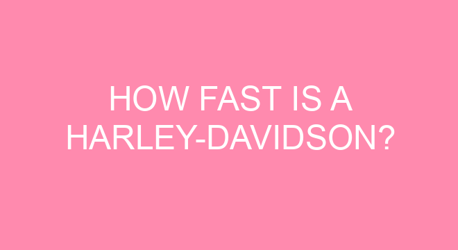 fast harley davidson