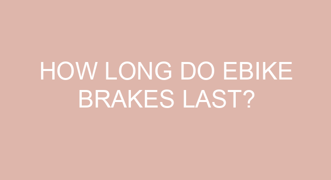 ebike brakes