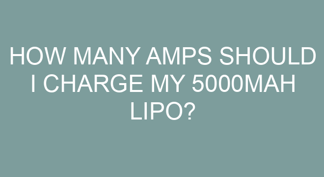 How Many Amps Should I Charge My 5000mAh LiPo how-many-amps-should-i-charge-my-5000mah-lipo