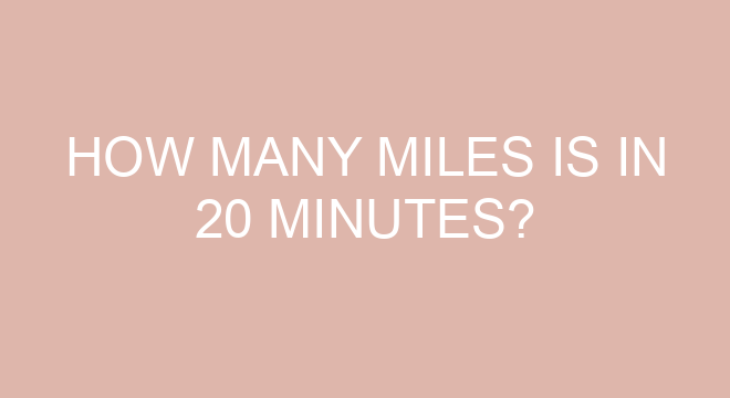 How Many Miles Is In 20 Minutes EScootersAndParts brisk-walking