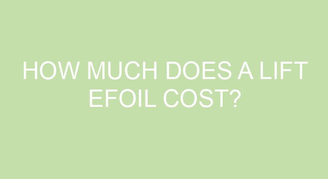 cost of efoil
