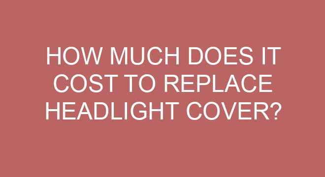 do you need a license to drive a scooter in new brunswick