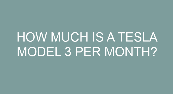 How Much Do Model Y Teslas Cost how-much-do-model-y-teslas-cost