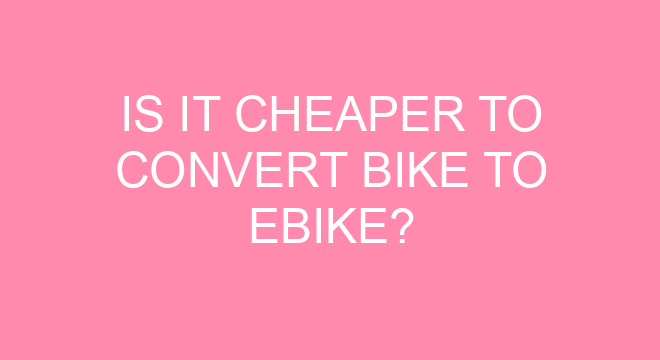 convert bike to ebike