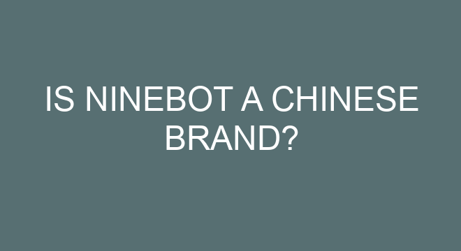 Is Ninebot A Chinese Brand?