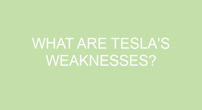 what-are-tesla-s-weaknesses