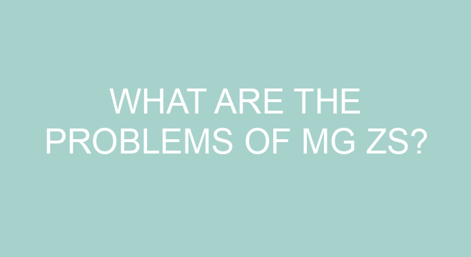 What Are The Problems Of MG ZS what-are-the-problems-of-mg-zs