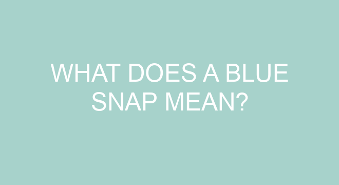 What Does A Blue Snap Mean what-does-a-blue-snap-mean