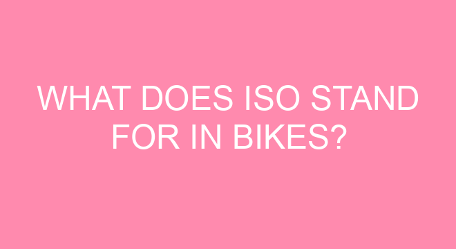 what year is my giant bike