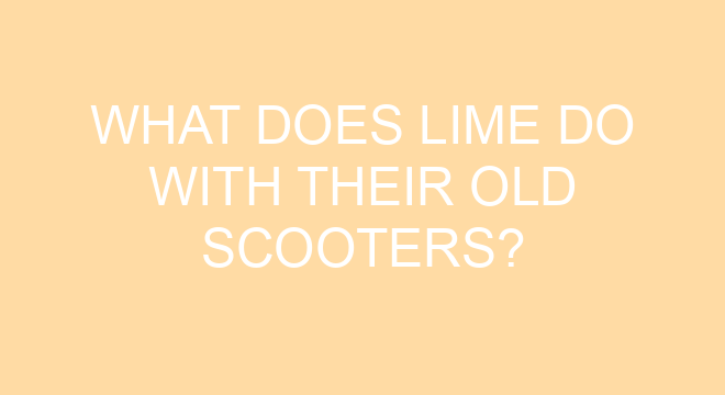 contact number for lime scooters
