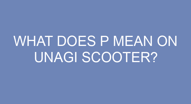What Does P Mean On Unagi Scooter what-does-p-mean-on-unagi-scooter