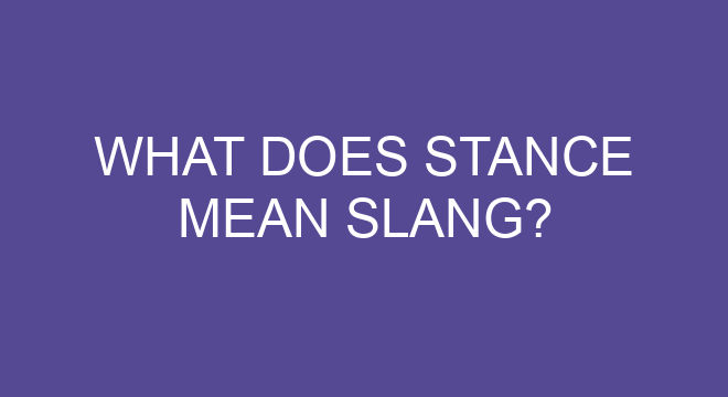 What Does Stance Mean Slang 