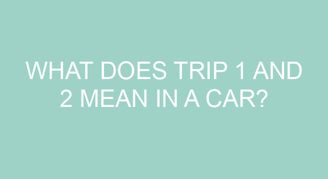 What Does Trip 1 And 2 Mean In A Car what-does-trip-1-and-2-mean-in-a-car