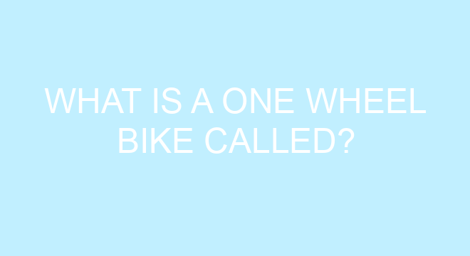 what is a one wheel bike called