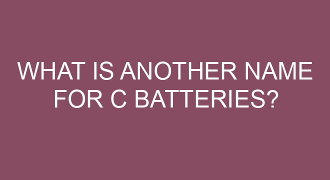 what-is-another-name-for-c-batteries