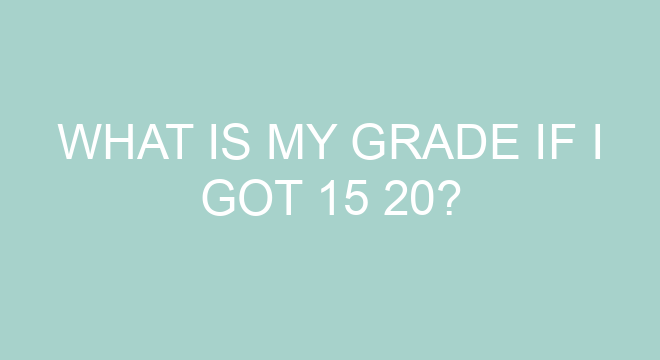 What Is My Grade If I Got 15 20 