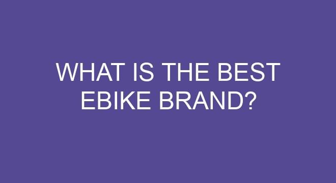 best ebike brands