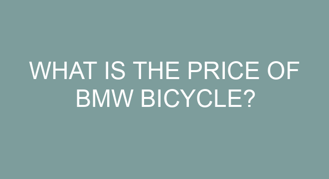 motorized bicycle throttle