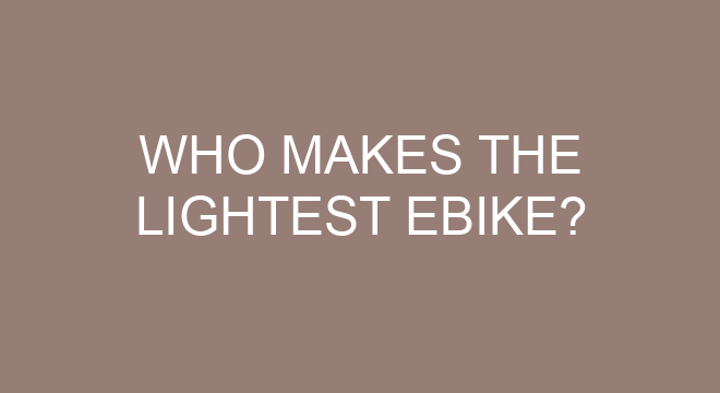 what is the lightest ebike