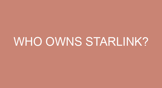 who-owns-starlink