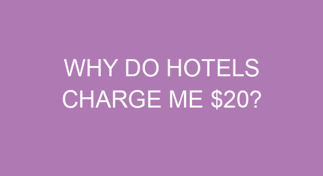 Why Do Hotels Charge Me 20 why-do-hotels-charge-me-20